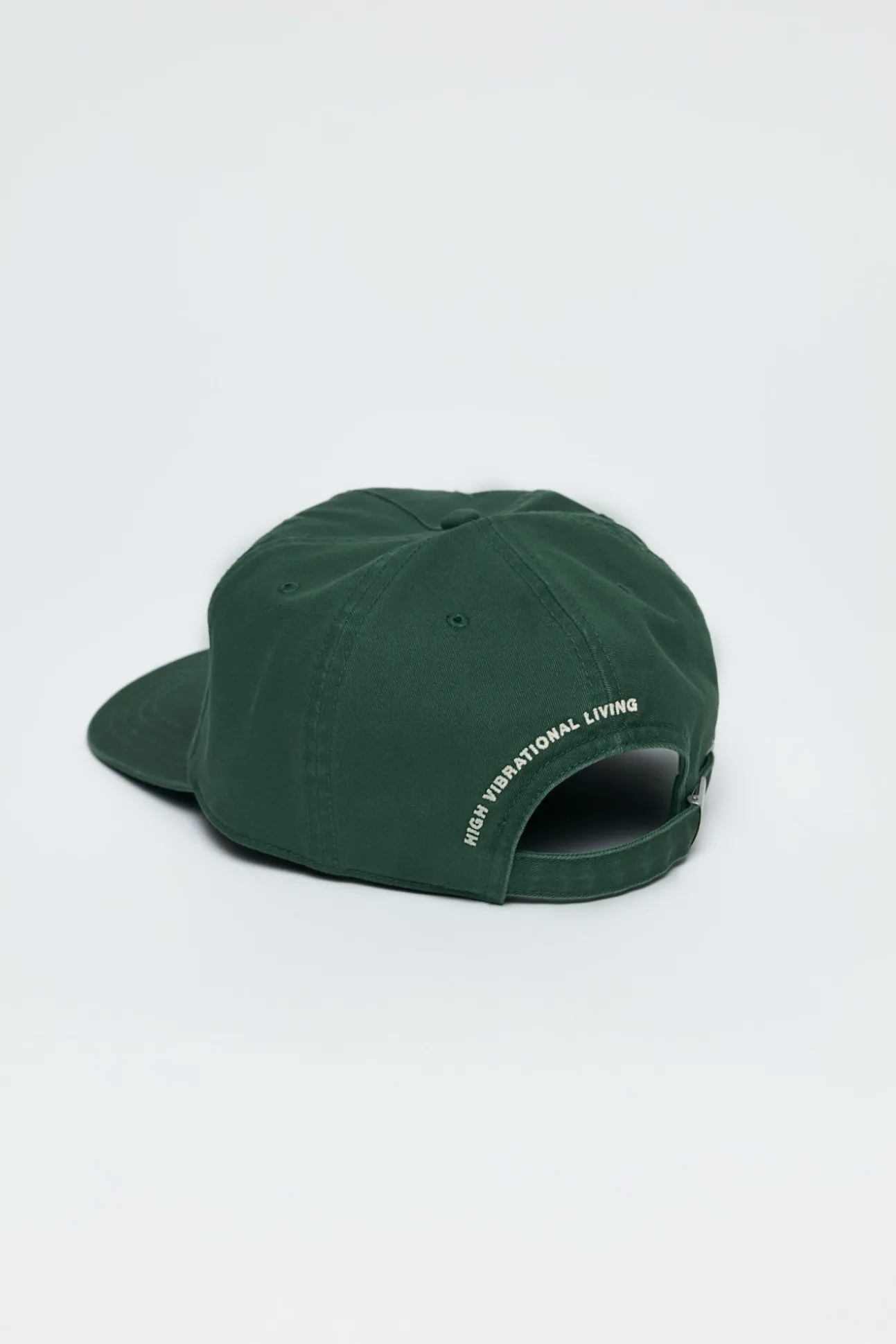 Just Sage Dad Hat