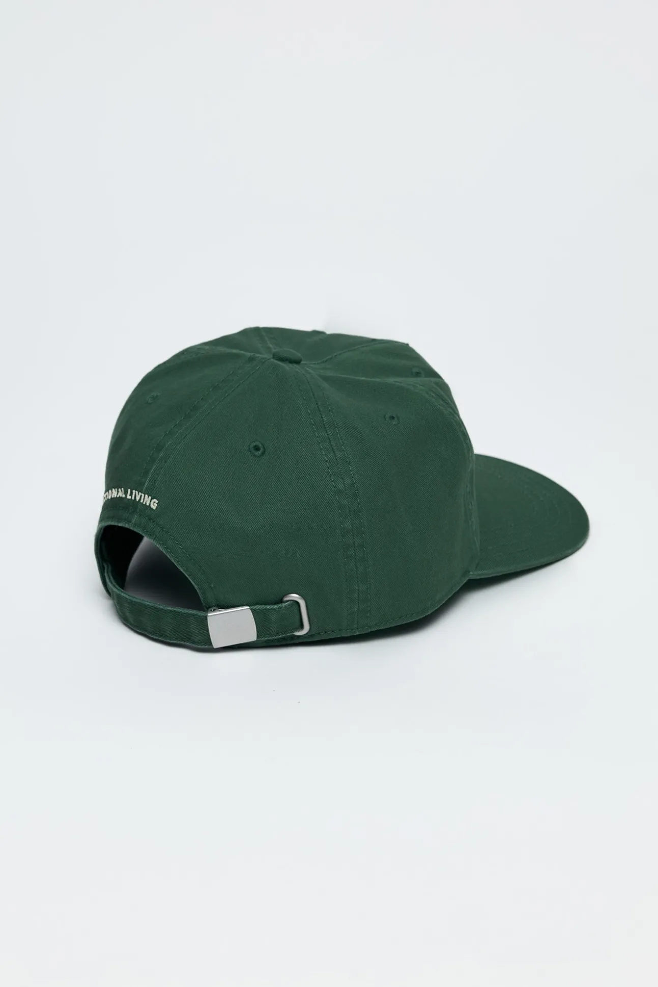 Just Sage Dad Hat