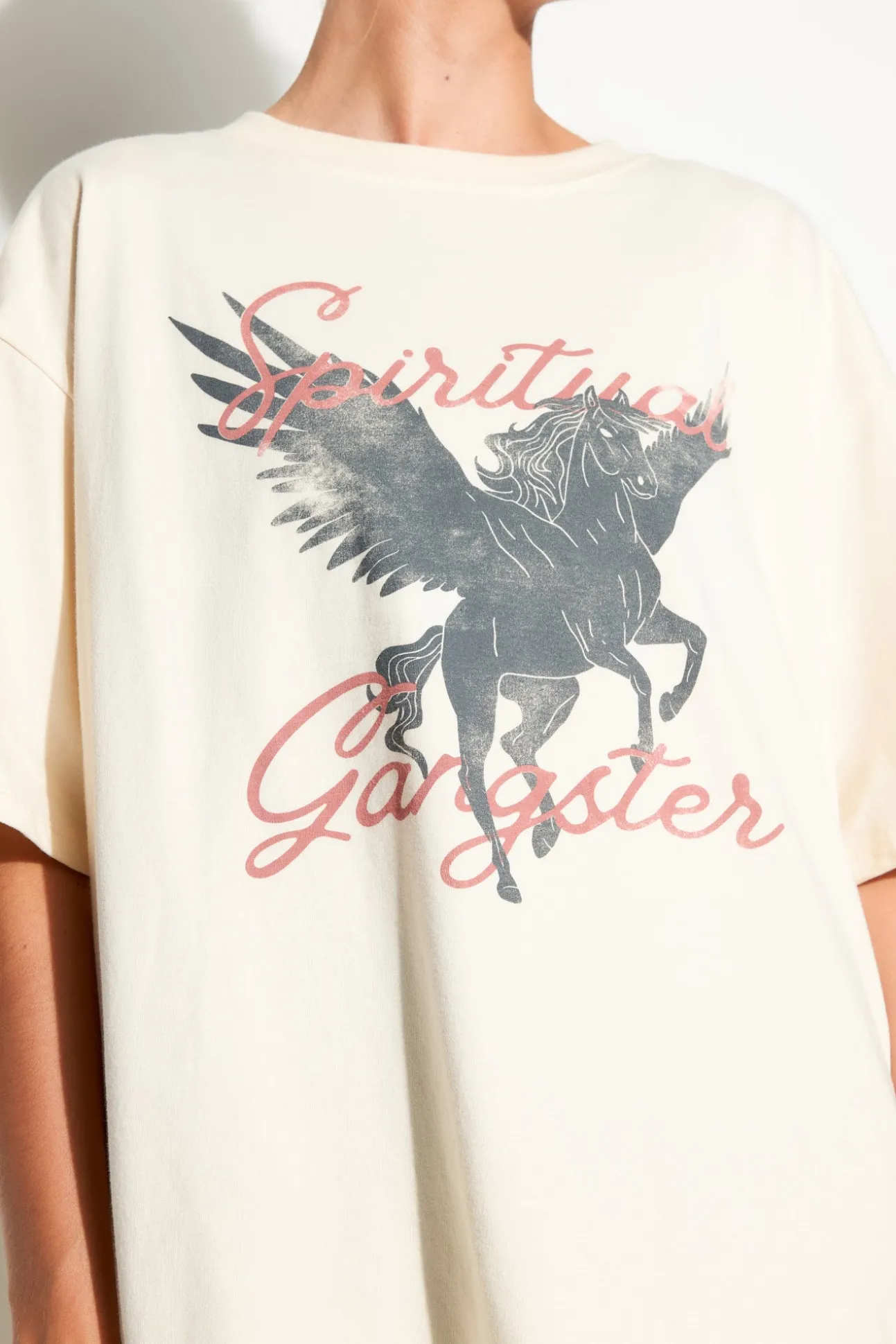 Pegasus Boyfriend Tee