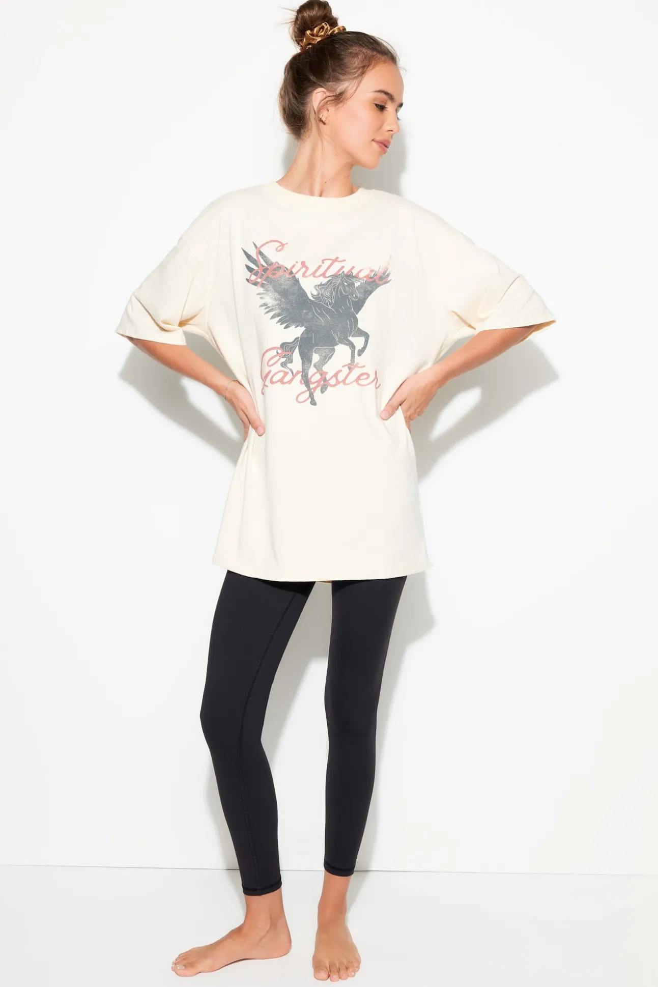 Pegasus Boyfriend Tee