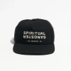 SG LA Dad Hat